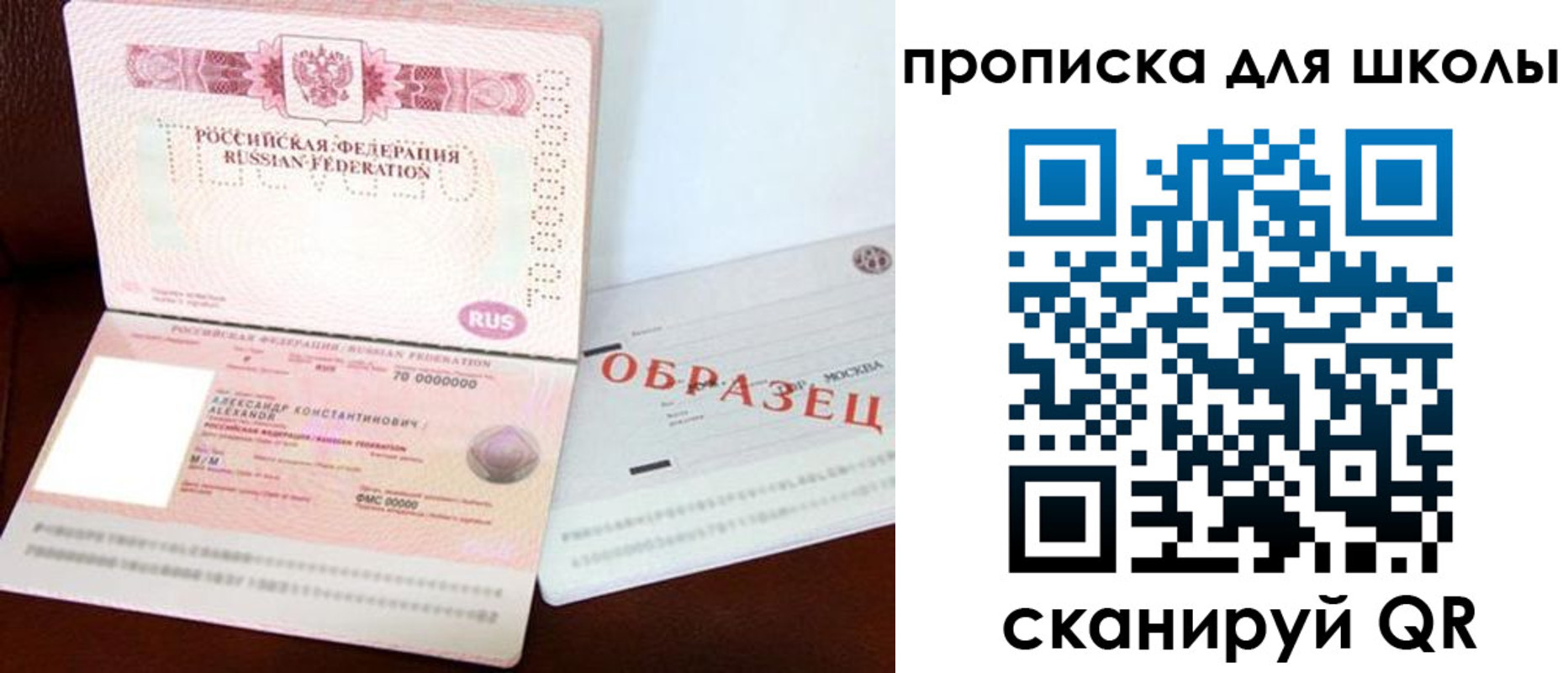 прописка для школы в Ясногорске